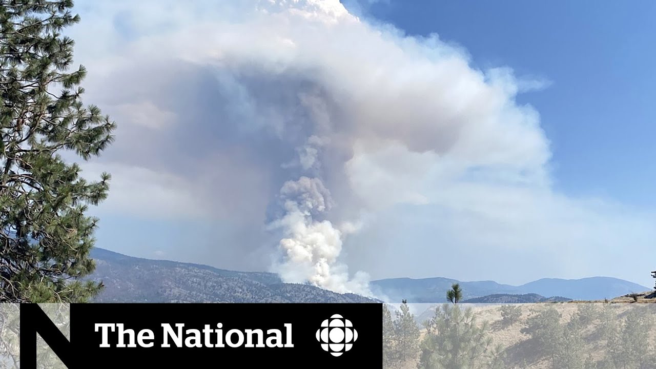 B.C. wildfire season could be avoided with prescribed burns, Indigenous communities say
