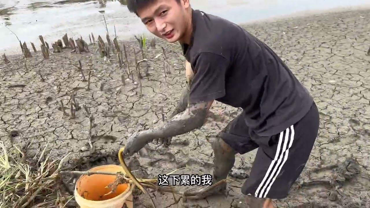 剛開始就刺激到尖叫，越挖越多，越挖越爽#fishing #大熱門