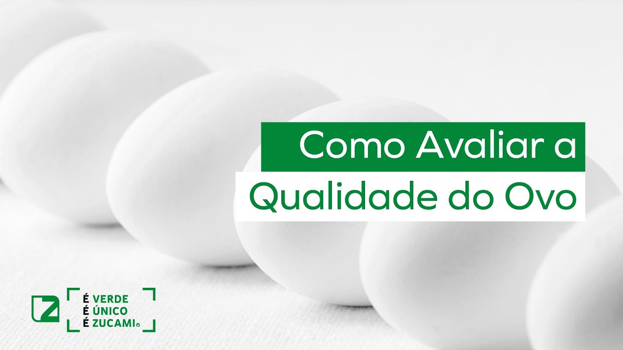 Critérios de excelência: 🥚 Como determinar a qualidade de um ovo