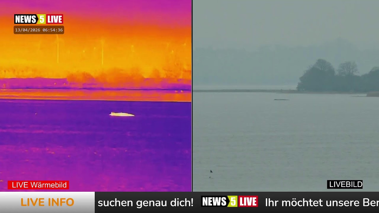 Aufzeichnung: Buckelwal 