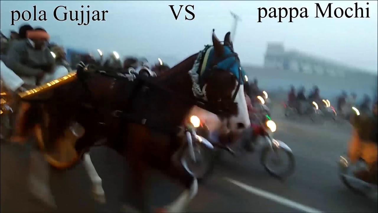 Polla gujjar vs papha mouchi
