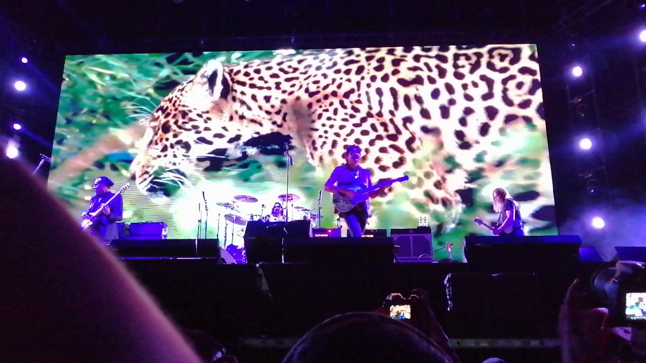 Jaguares - Dime Jaguar/nunca te doblaras - Machaca Festival 2019