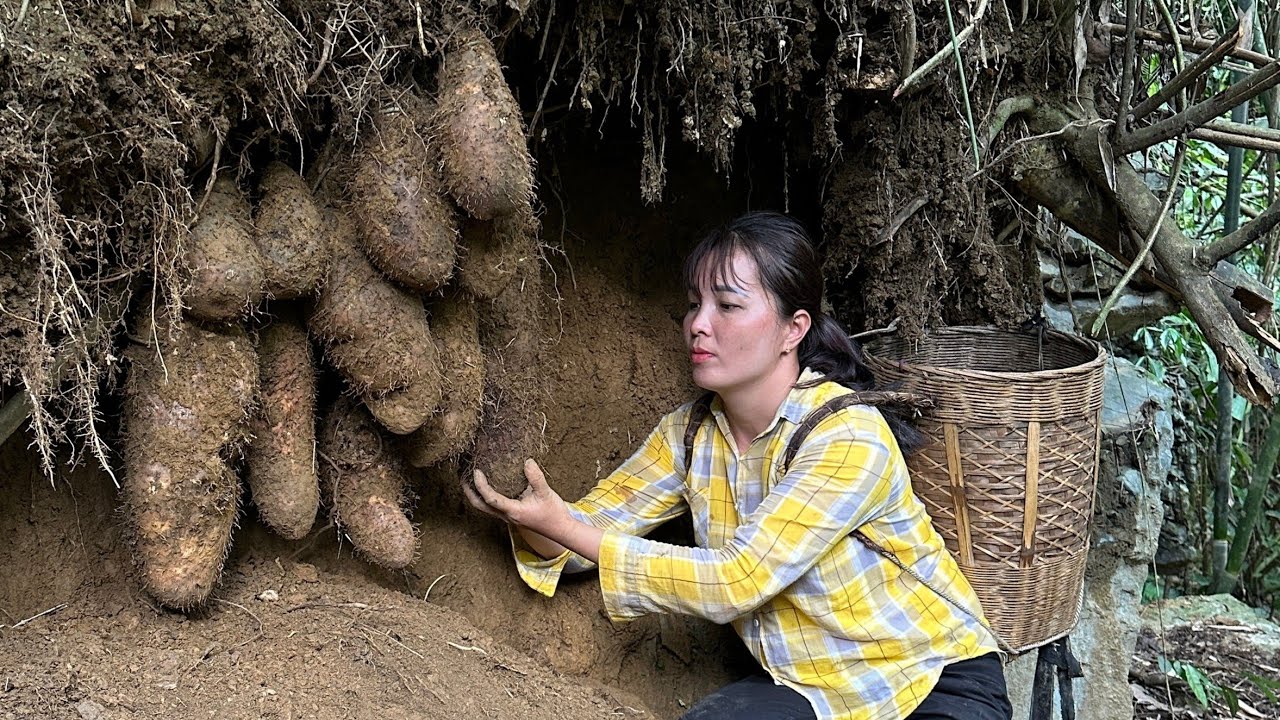 FULL VIDEO: Harvesting Tubers, Forest Fruits, Bamboo Shoots, Papaya Flowers, Lychees - Farm Life
