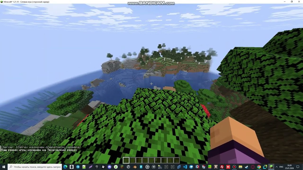 LiteHosting, хостинг для Minecraft - плюсы и минусы за 3 минуты. 