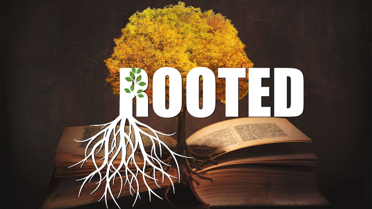 A Plan For Progress: Rooted