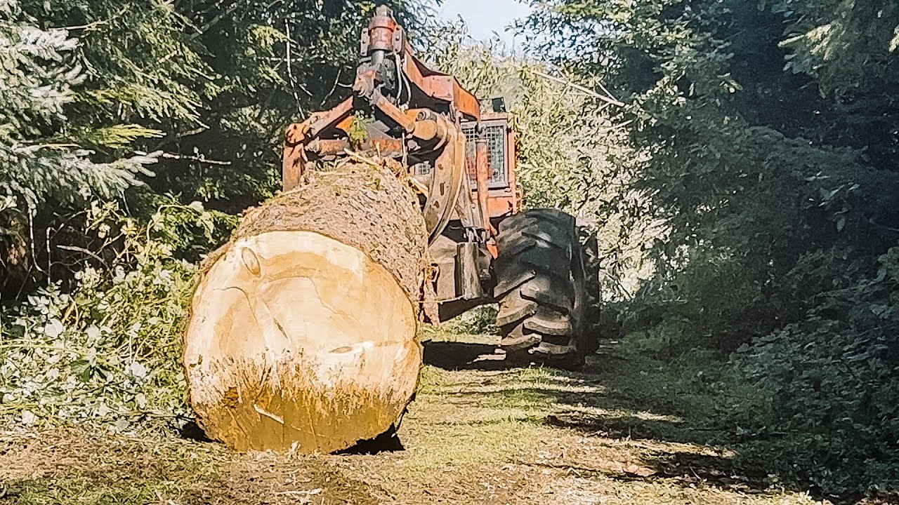 Rain Is Coming! We Need To Get These Logs Out Of Here!