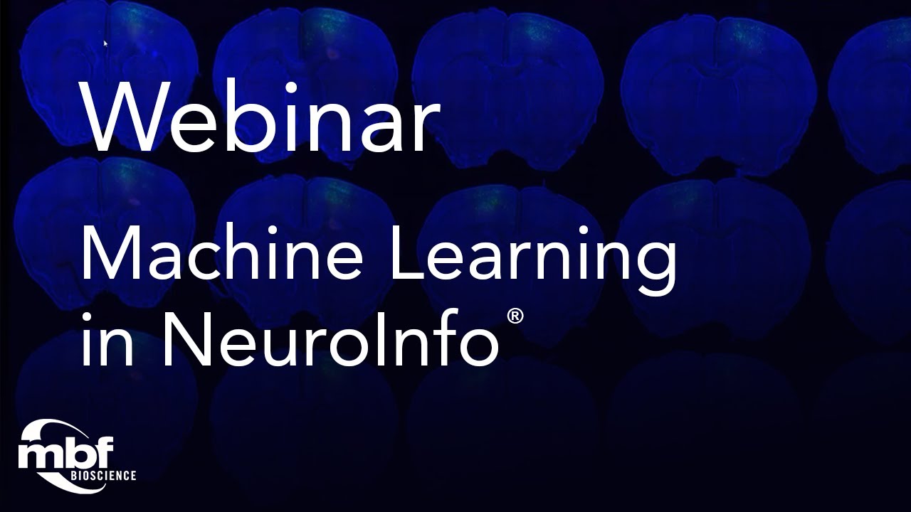 Webinar: Improved Detection of c-fos Labeled & Pyramidal Neurons with Machine Learning in NeuroInfo