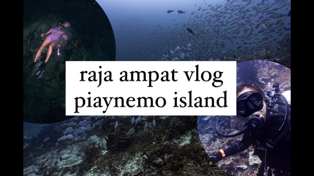 Best dive site in Raja Ampat? Piaynemo Island Vlog | 四皇群島之旅 2