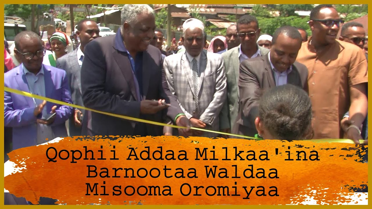 Qophii Addaa Milkaa'ina Barnootaa Waldaa Misooma Oromiyaa