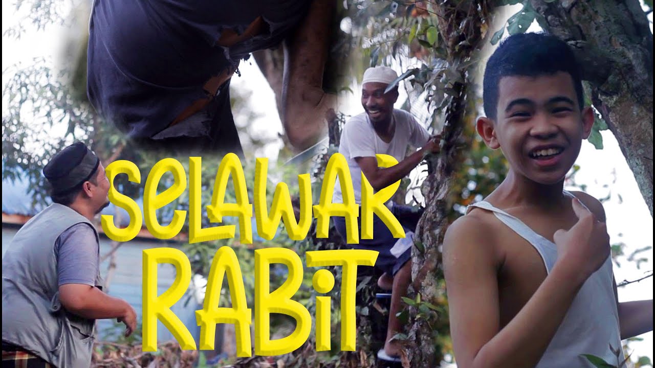 SELAWAR RABIT