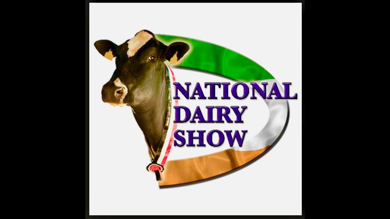 National Dairy Show.Junior Holstein Championship.Evergreen Beemer Lydia