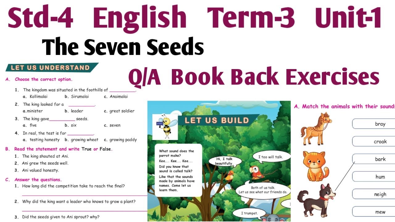 4th Std English Term 3 unit 1 | The Seven Seeds Book Back Question and Answers | Let us Build