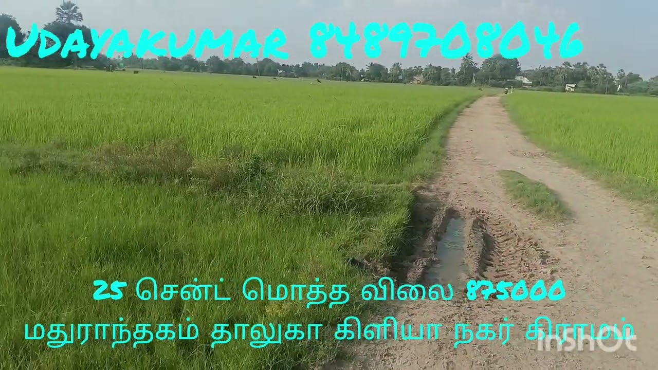 Sold outமதுராந்தகம் தாலுக்கா செங்கல்பட்டு மாவட்டம் கிளியர் நகர் கிராமம் 25 சென்ட் மொத்த விலை 875000 