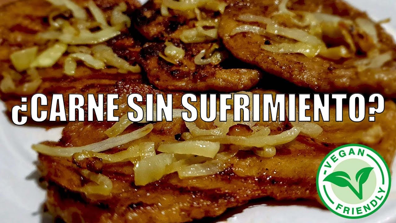 COMO HACER SEITAN - CARNE VEGETAL🐄🌱 - soyvelen