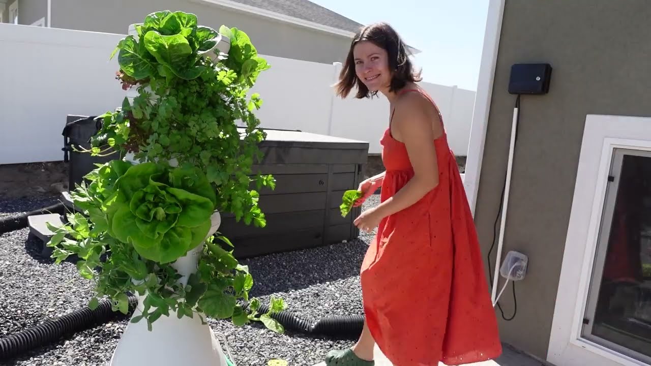 My Life with Houseplants Vlog - plant care, camping & more!