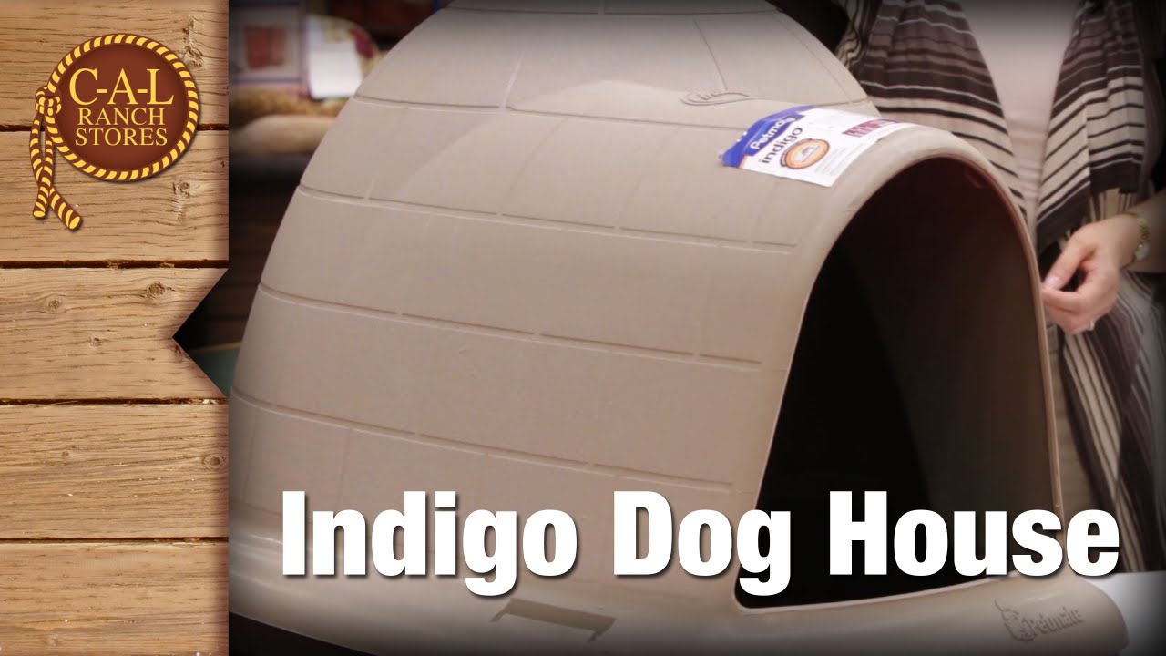 Petmate Indigo Dogloo