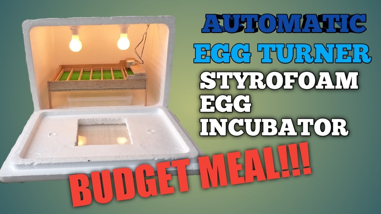 SIMPLEST AUTHOMATIC EGG TURNER STYROFOAM INCUBATOR|EASY TO WIRE AUTHOMATIC EGG TURNER