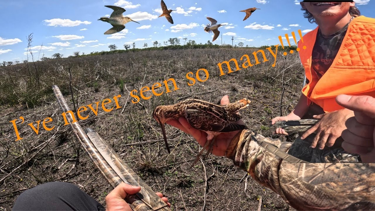 Insane hunt!!! (Florida public land snipe hunt) SO many birds, HORRIBLE shooting