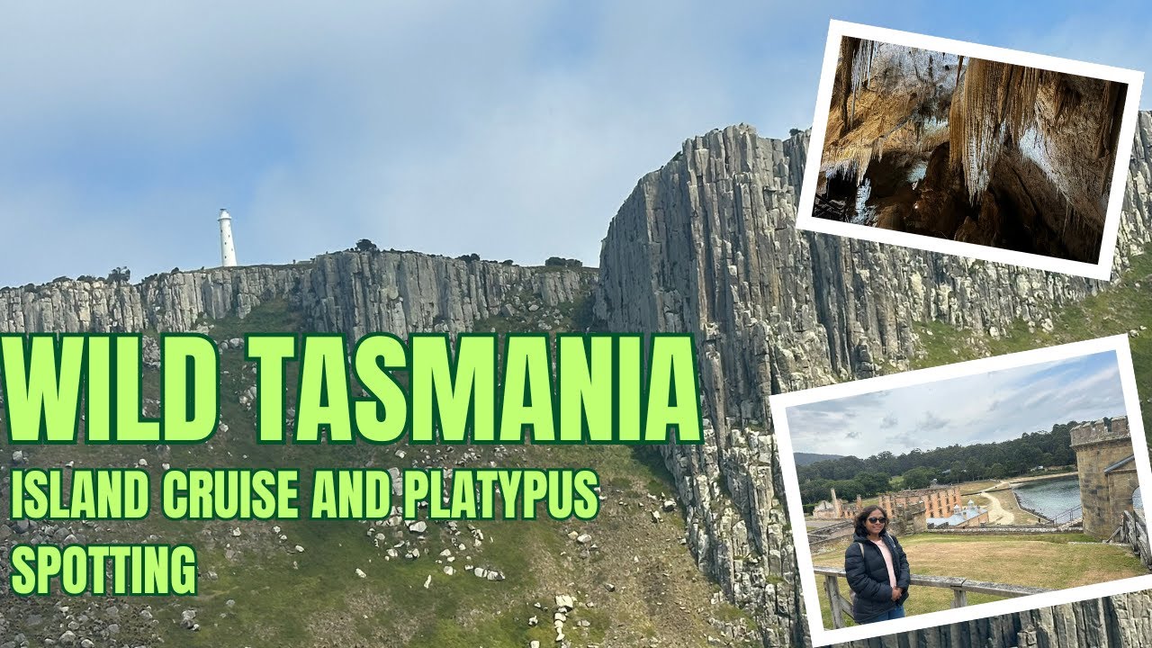 Epic Tasmania Finale |Tasman Island Cruise, Hastings Caves & Tree Top Walk | Tasmania Trip Episode 4