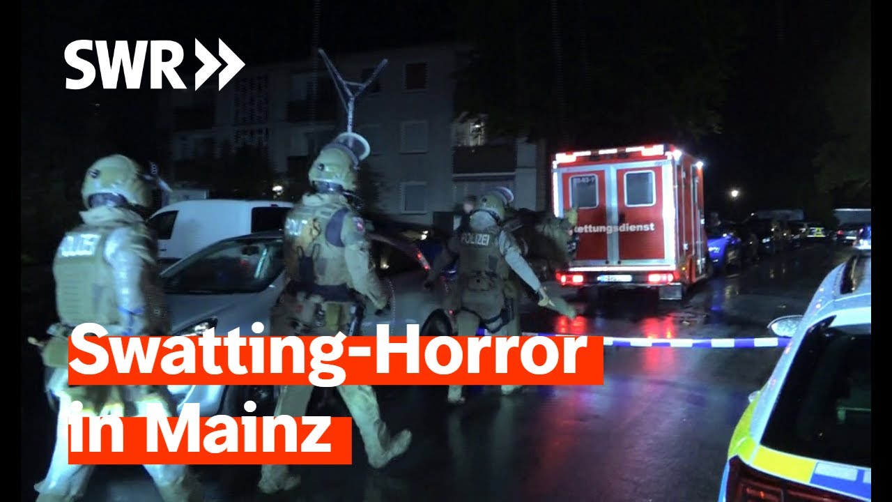 Swatting - SEK überwältigt Unschuldigen | Zur Sache! Rheinland-Pfalz