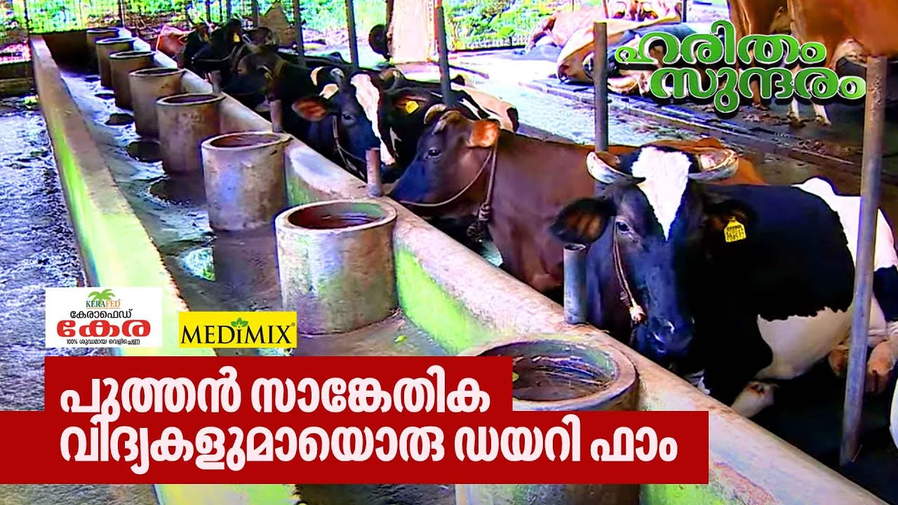 പുത്തൻ സാങ്കേതിക വിദ്യകളുമായൊരു ഡയറി ഫാം | Elamkulam MS Dairy farm | Haritham Sundaram EP 406