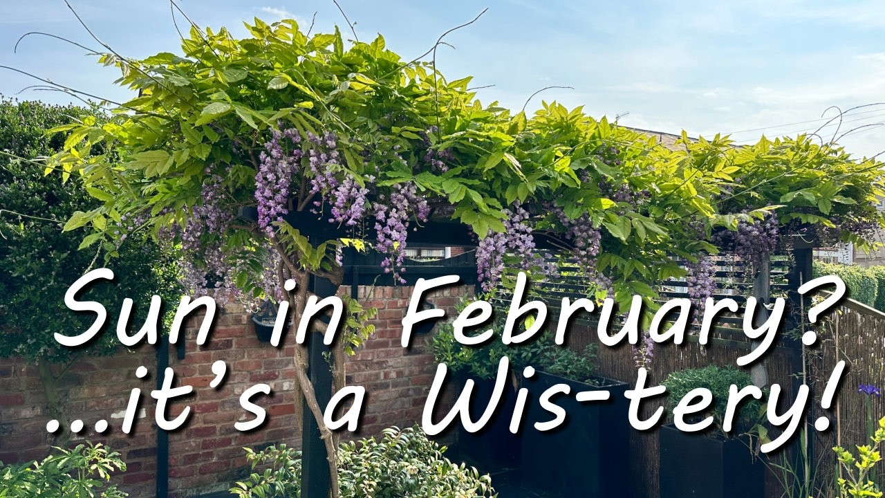 Episode 5 - Sun in February? It's a Wis-tery!