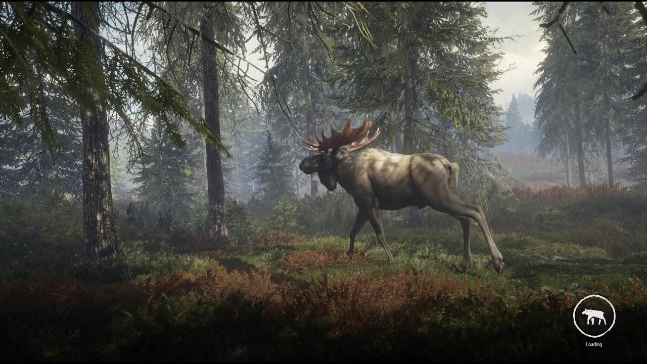 Mount Kraken Bear Hunt Pt. 2 - The Hunter Call of the Wild #4
