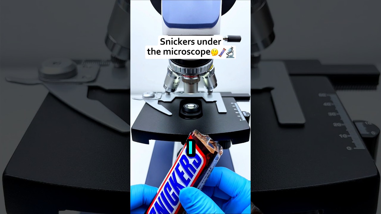 What Does Snicker Look Like Under Microscope?🍫 #microscope #snickers