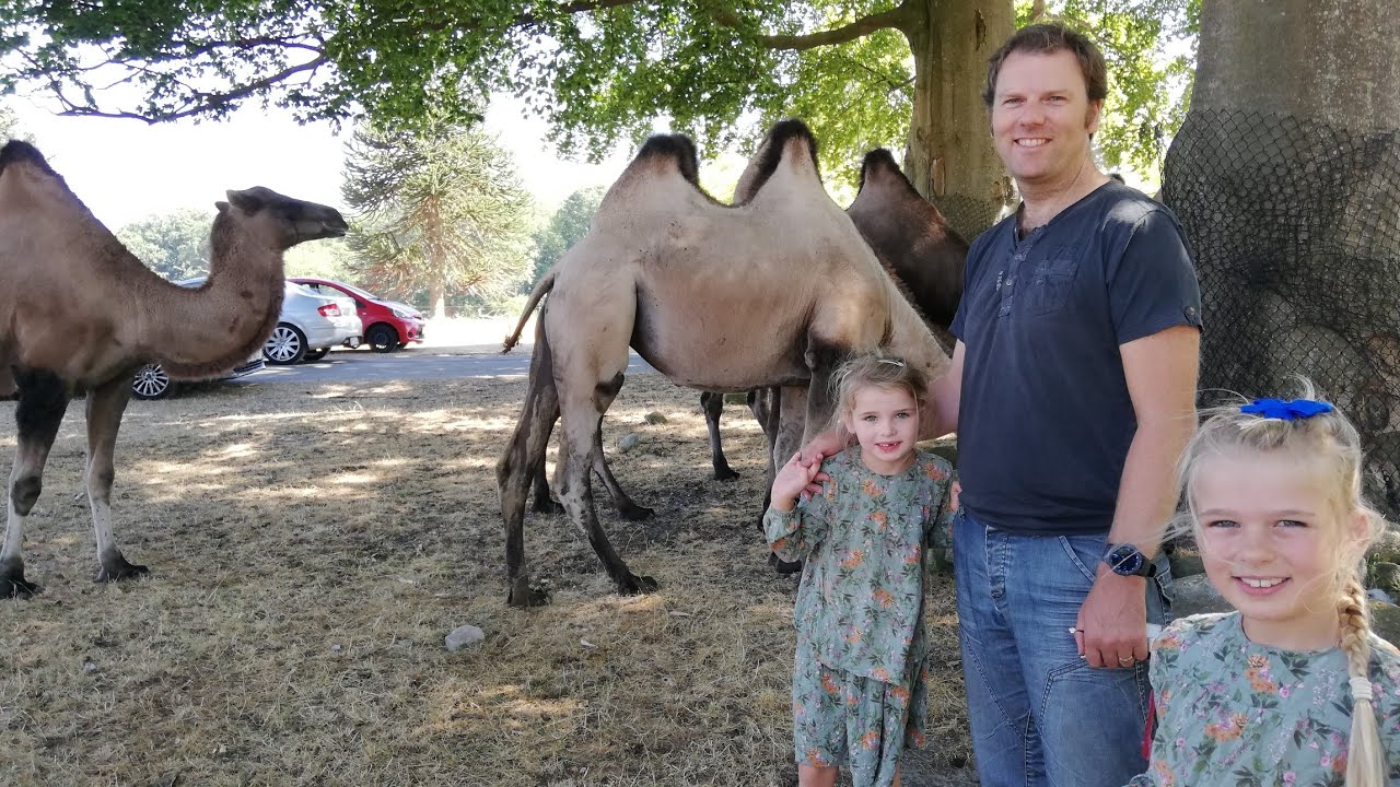SanneVilleFamily❤️I Knuthenborg Safaripark🐫🐯🐒😀