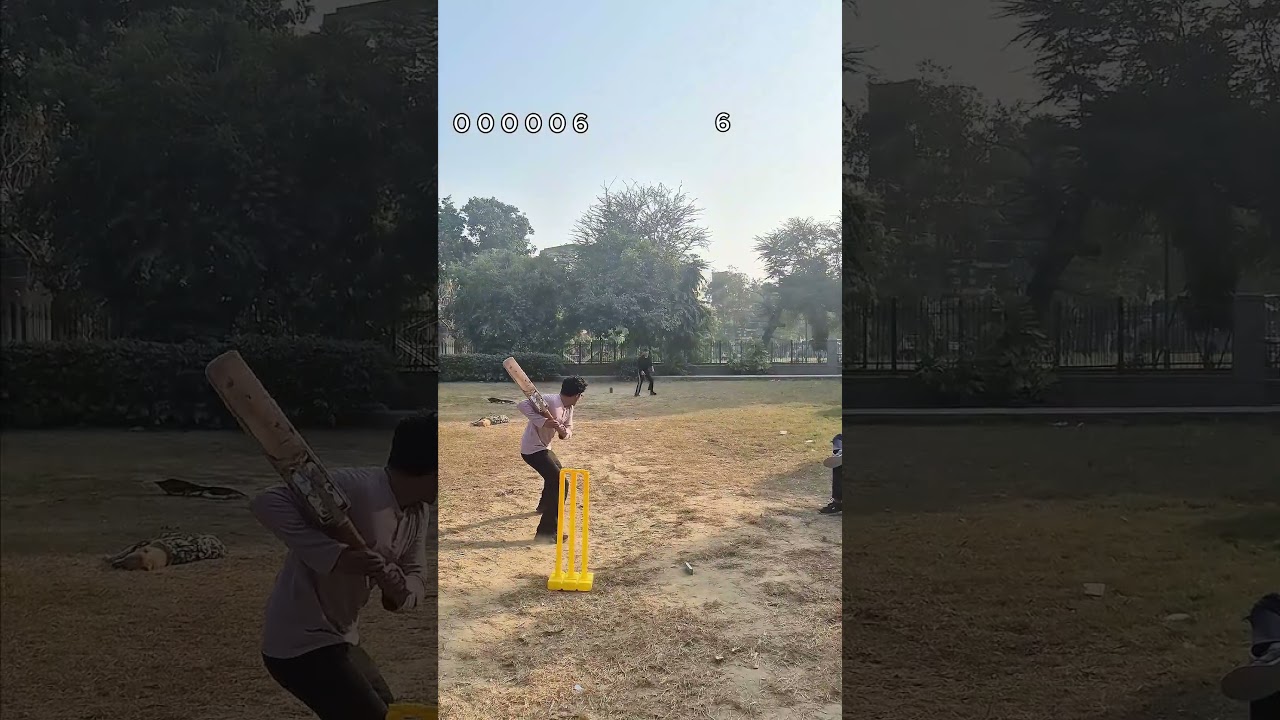cricket 