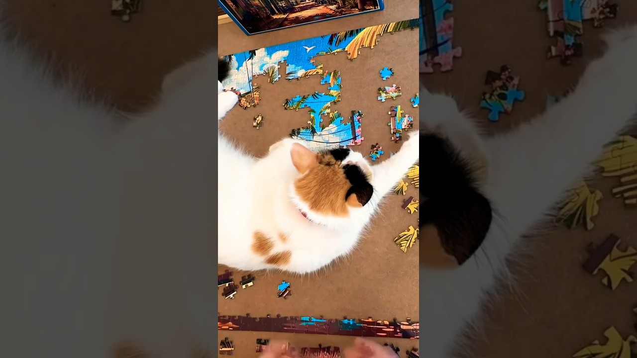 I Can Smell the Ocean - 1000 Piece Puzzle #solved #puzzle #jigsawpuzzle #timelapse #puzzlegame
