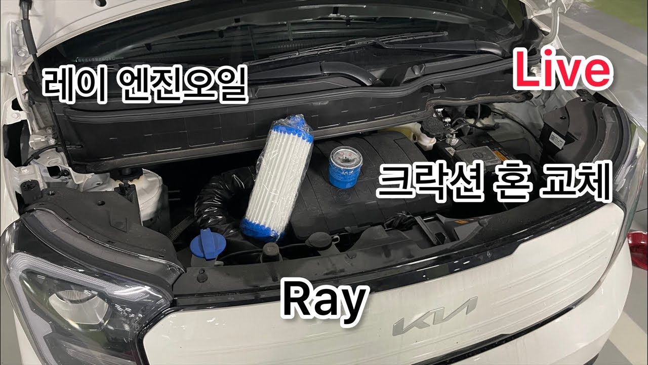 LIVE Hungry DiY, 레이 엔진오일, 크락션 범퍼 내리기
