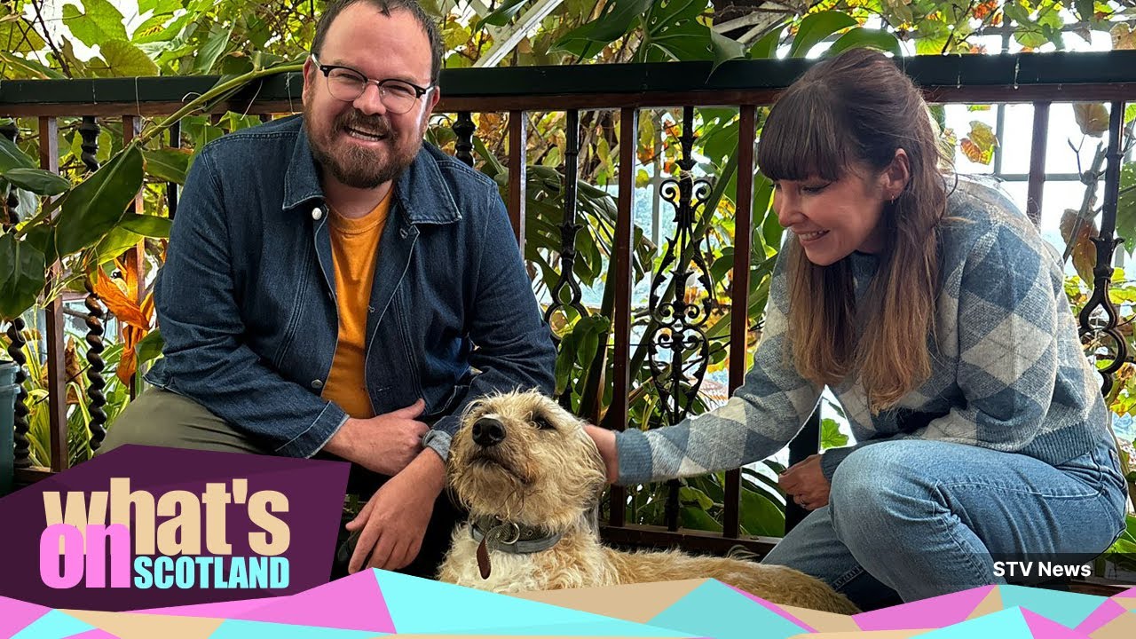 Миссия Banjo Beale — раскрыть сердце шотландского дизайна #знаменитости #развлечения #Шотландия