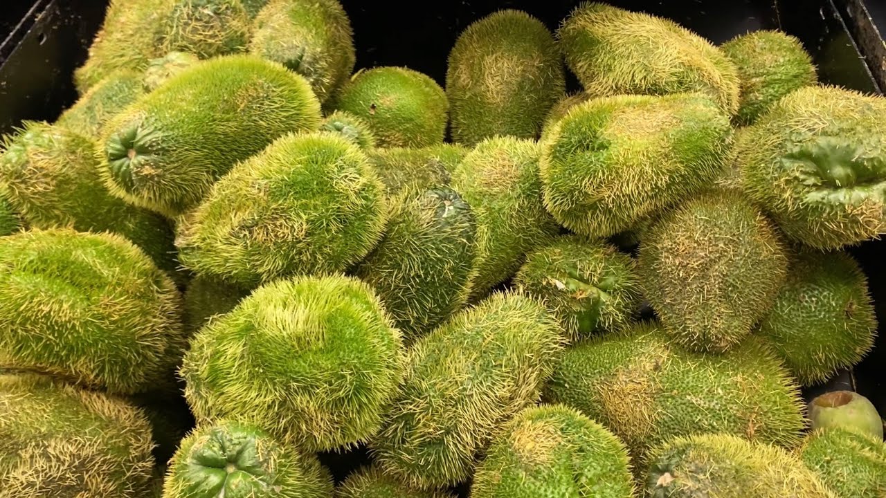 Fiesta - Mexican Supermarket