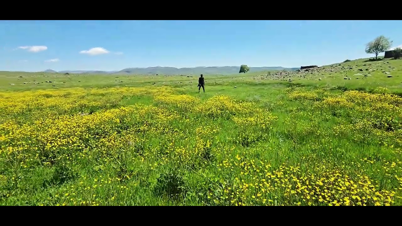 Barış yönter yayla ceşmesi