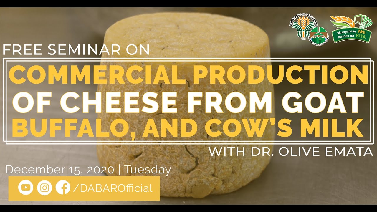 Commercial Production of Soft, Semi and Hard Cheeses from Goat, Buffalo and Cow's Milk