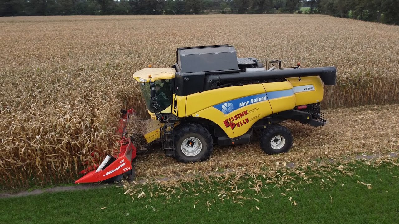 Eijsink-Pelle harvesting corn