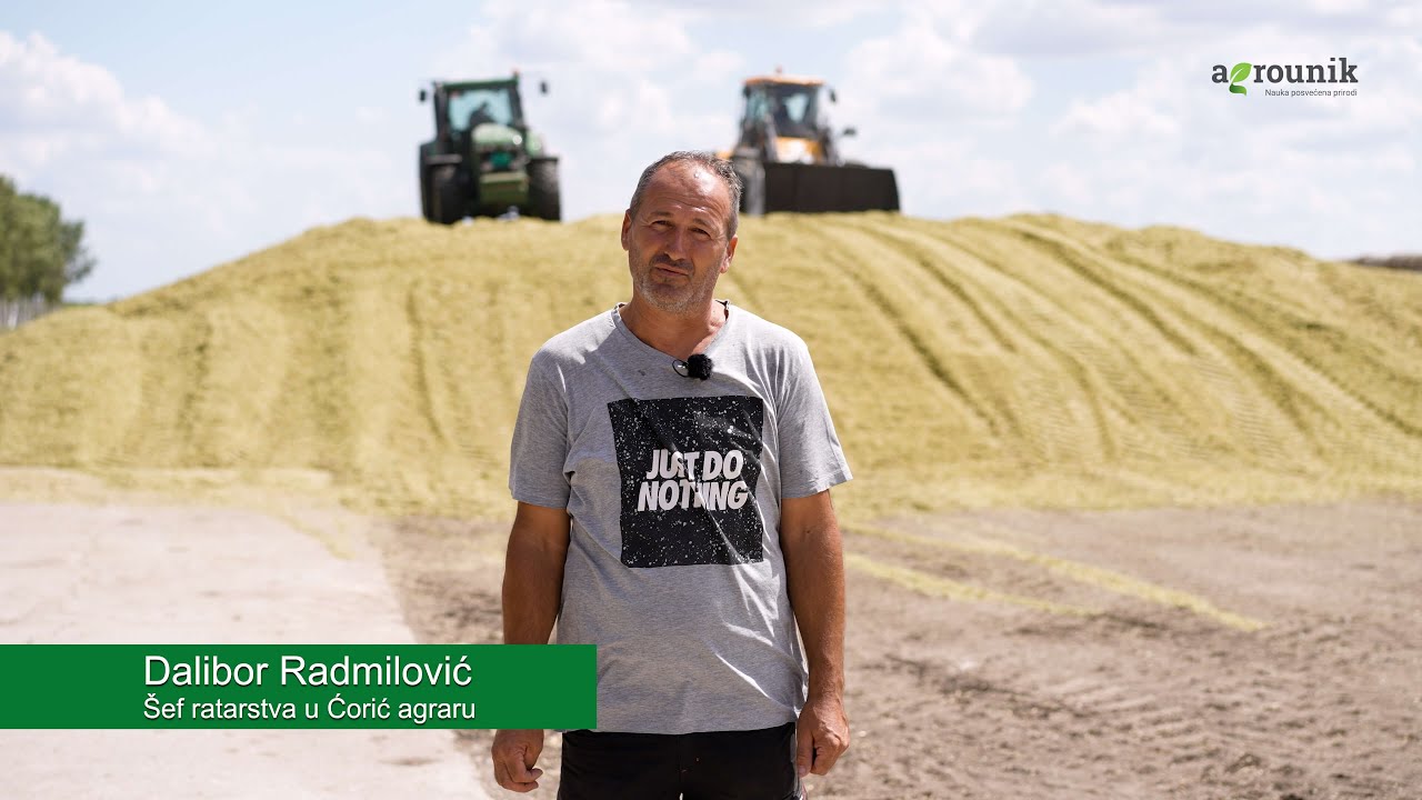 Kako Silko inokulant donosi rezultate u Ćorić Agraru: Iskustvo Dalibora Radmilovića
