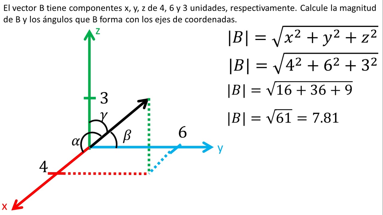 F&iacute;sica | Vectores de tres dimensiones | Problema 1