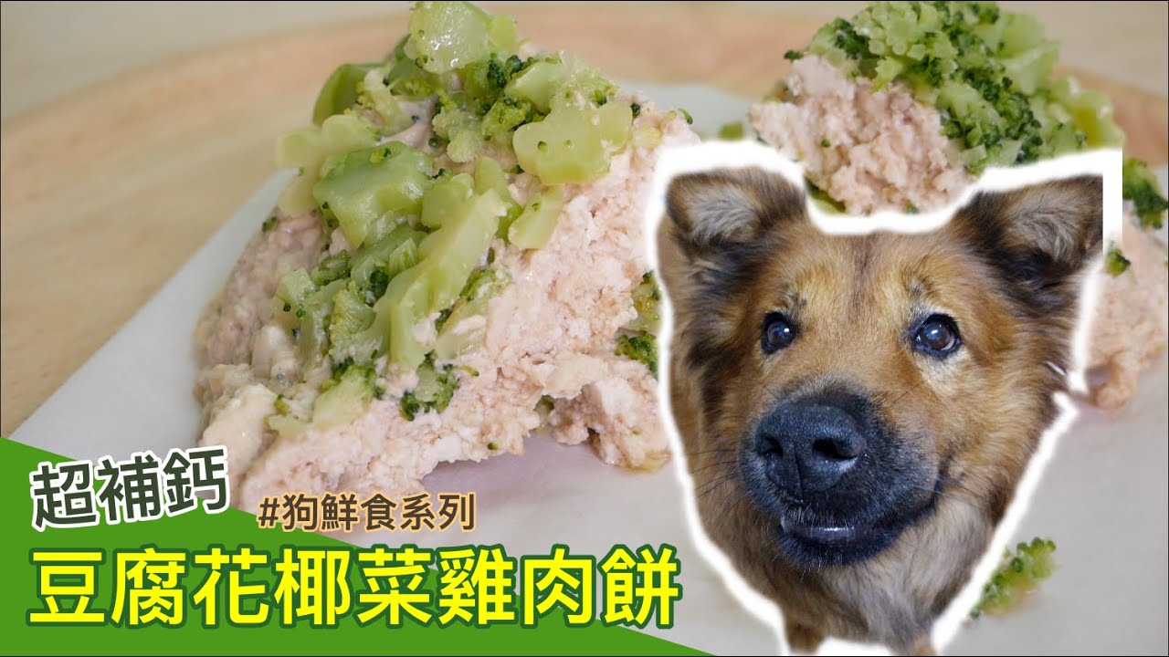 超補鈣豆腐花椰菜雞肉餅！小皮吃太快差點沒錄到 / Chicken Brocoli Tofu Pie for Dog｜寵物鮮食