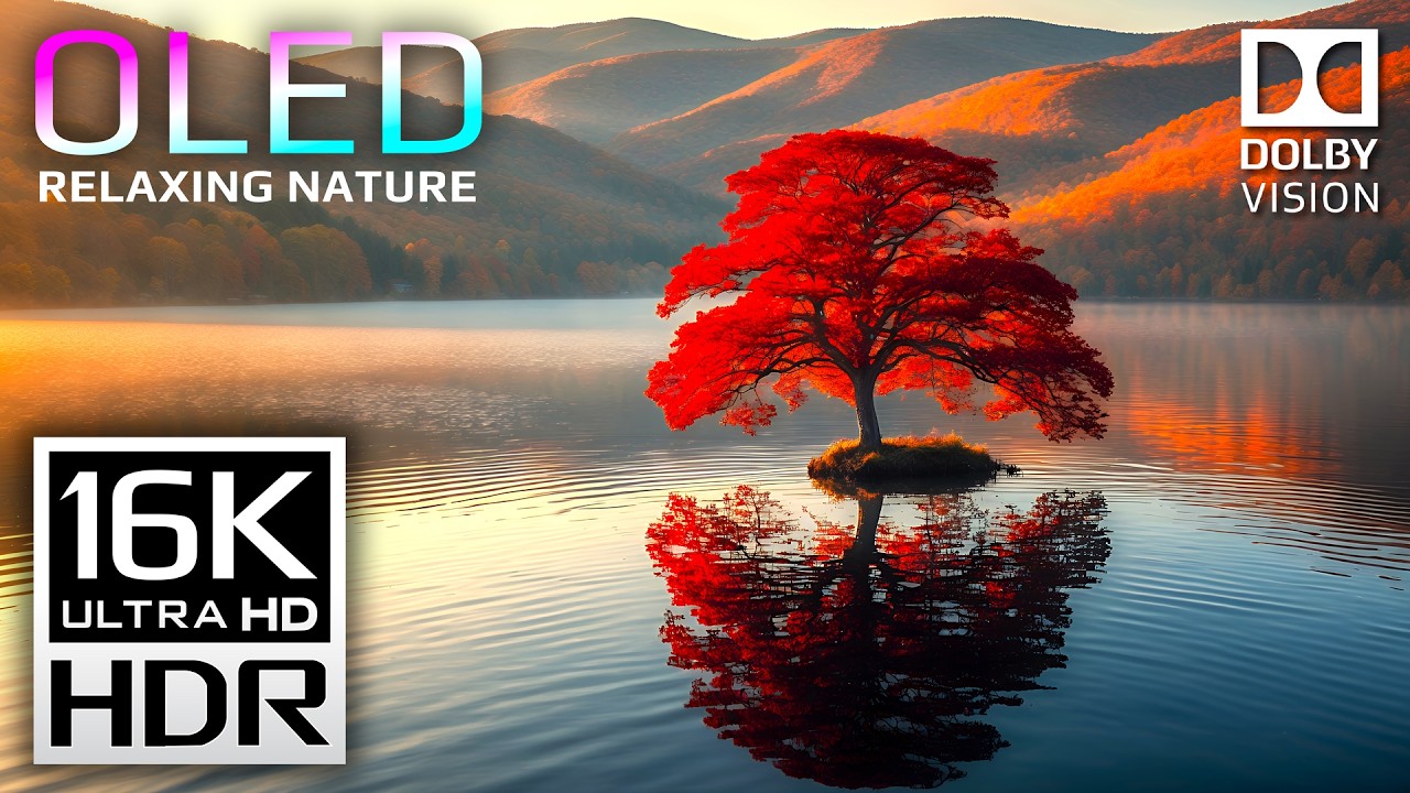 Experience TRUE Visual Perfection | 16K HDR Dolby Vision 240fps Nature