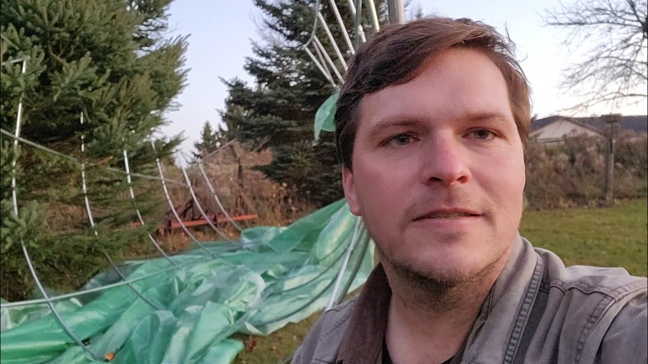 Buying a Greenhouse on Amazon or Temu?