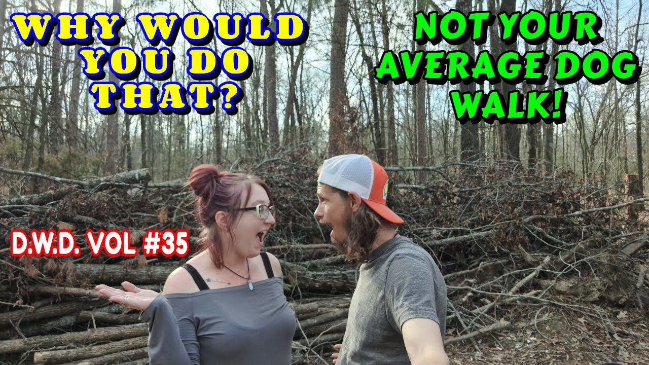A DEATH DEFYING DOG WALK | vlog, work, couple builds, tiny house, homesteading, off-grid, rv life |