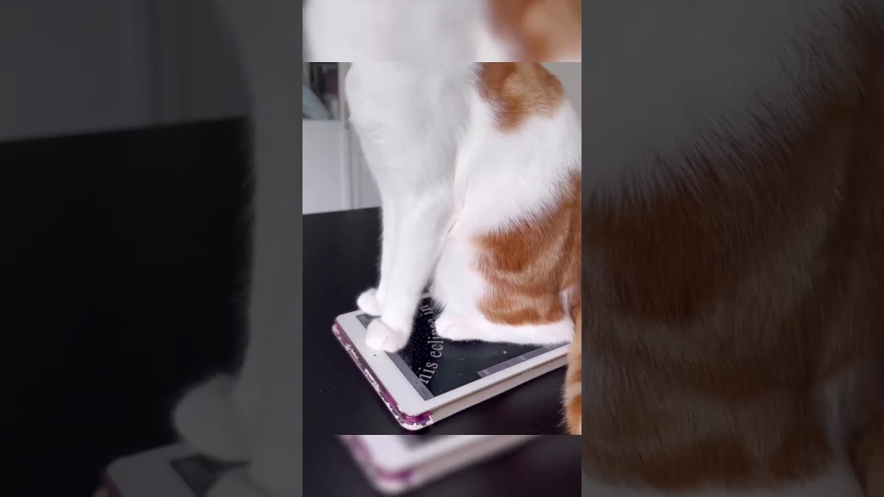 Work From Home Problems