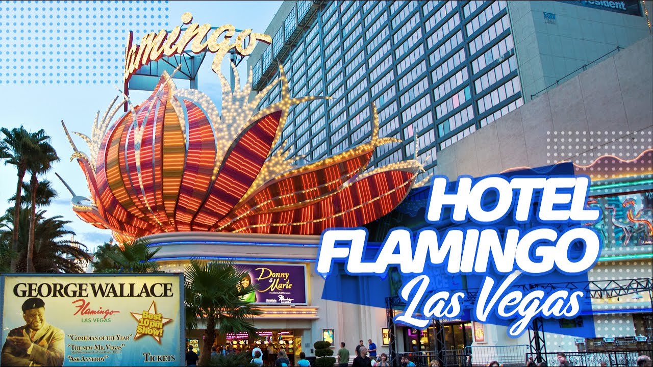 COMO É A ESTADIA NO HOTEL FLAMINGO EM LAS VEGAS?