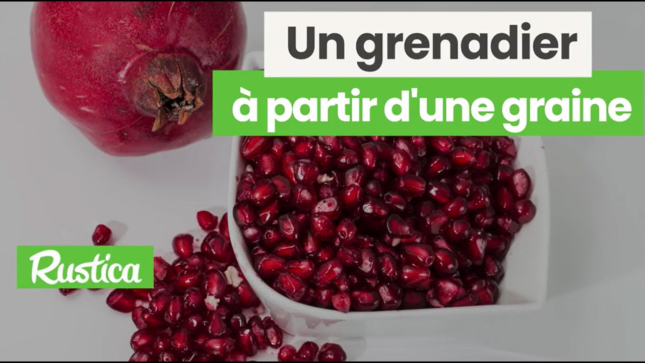 Semer un grenadier