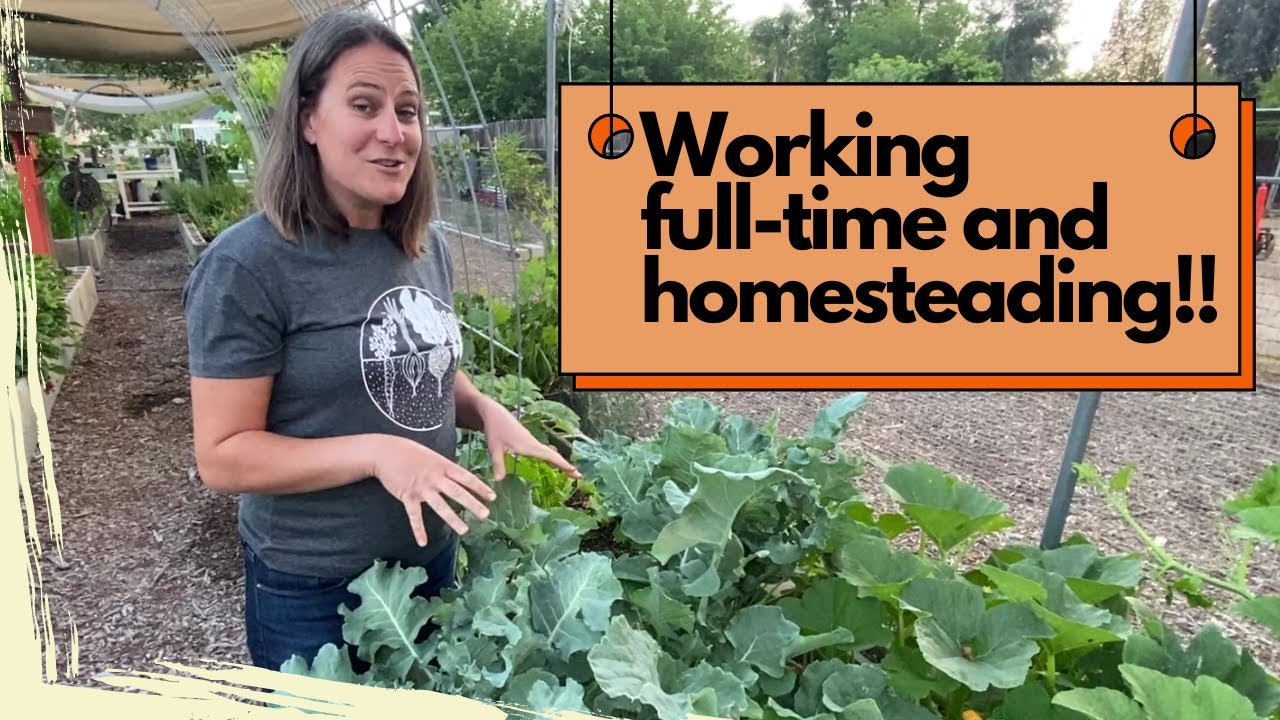 Spring California Vegetable Garden Tour: homestead gardening while working full time