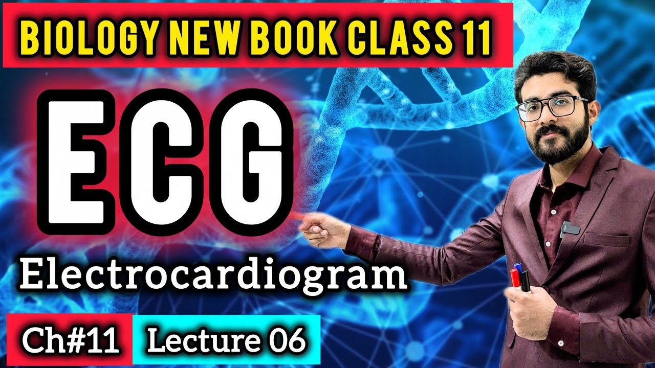 ECG: Electrocardiogram & Electrocardiograph Class 11 | P, QRS & T Waves | Biology New Book 