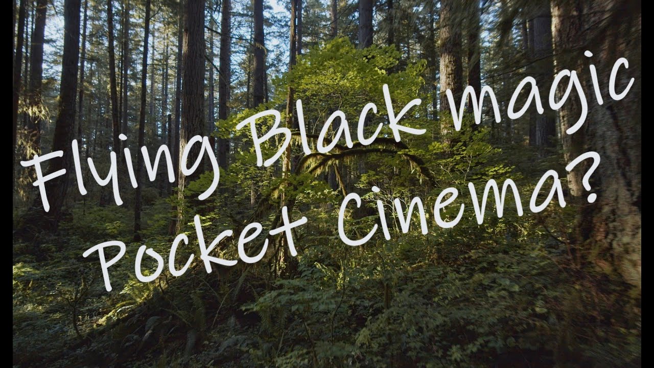 Round about 6pm. Exploring the forest with a blackmagic pocket cinema camera on a drone
