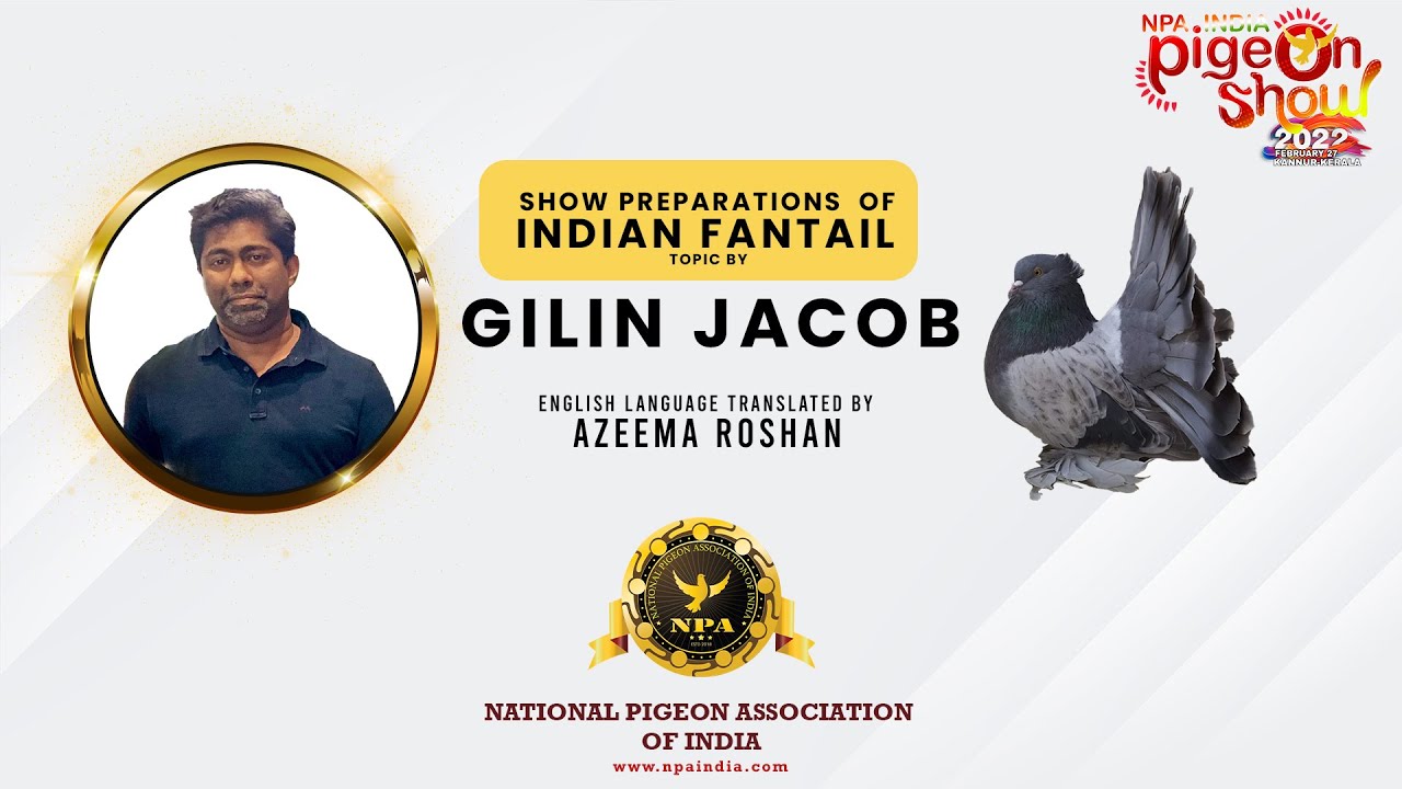 How to  prepare Indian fantail for Show . Topic by  GILIN JACOB - NPA-INDIA  Language in English